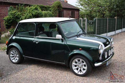 Rover Mini Cooper (1999) 1275 MPI Vintage Mini Cooper, Old Mini Cooper, Rover Mini Cooper, Car Rover, Cactus Backgrounds, Mini Paceman, Nuclear Winter, Mini Cooper Classic, Mini Coopers