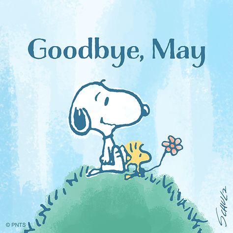 Tweet Goodbye May, May Month, Woodstock Peanuts, Peanuts Comic Strip, Peanuts Snoopy Woodstock, Peanuts Cartoon, Snoopy Quotes, Snoopy Pictures, Snoopy Love