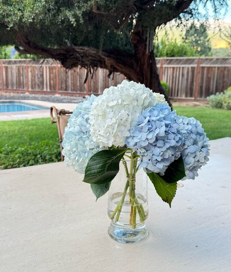 Dark Blue Hydrangea Centerpieces, Hydrangea Wedding Table, Hydrangea Wedding Decor, Blue Hydrangea Centerpieces, Dark Blue Hydrangea, Cocktail Table Centerpieces, Blue Hydrangea Bouquet, Blue Hydrangea Wedding, 20th Bday