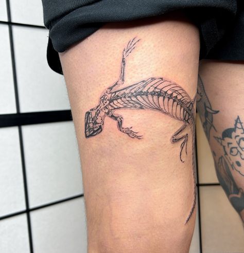 Xray Tattoo Ideas Bones, Pelican Tattoo, Stingray Tattoo, Lizard Tattoo, Nyc Tattoo, Female Tattoo Artists, Scientific Illustration, Tattoo Inspo, X Ray