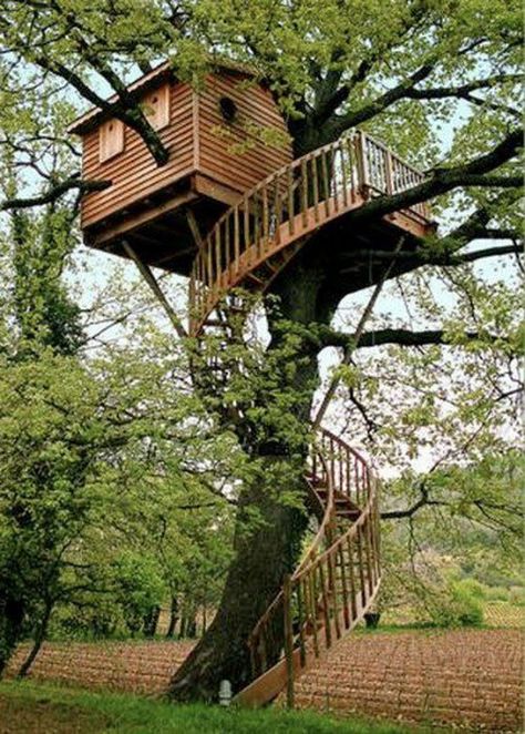 Amazing treehouse! Probably a bit much for my husband to take on ;)  #Spiralstaircase Green Architect, Beautiful Tree Houses, Backyard Trees, Tree House Diy, Cool Tree Houses, Tree House Designs, Diy Tree, Spiral Staircase, Tree Houses