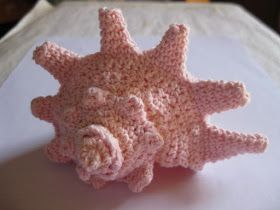 biomathcraft: A Proper Pattern for a Fibonacci Seashell ** Fibonacci Seashell, Crochet Seashell, Art Au Crochet, Crochet Sea Creatures, Seashell Pattern, Deco Marine, Crochet Fish, Confection Au Crochet, Form Crochet