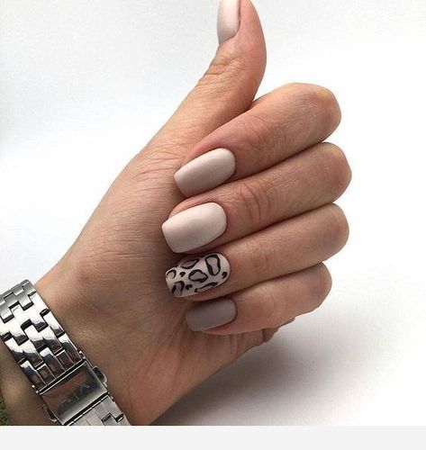 Nails Leopard, Taupe Nails, Fall Acrylic Nails, Leopard Nails, Trendy Nail, Trendy Nail Design, Nails Desing, Pretty Acrylic Nails, Chic Nails