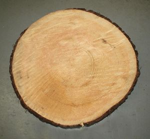 How to Keep Bark on your Live Edge Wood Cookies and Slabs – Preservation Solutions How To Dry Wood, Decorative Wood Pieces, Large Wood Slices, Wood Cookies, Bark Edge, Wood Sealer, Pecan Wood, Wood Bark, Wood Slice Crafts