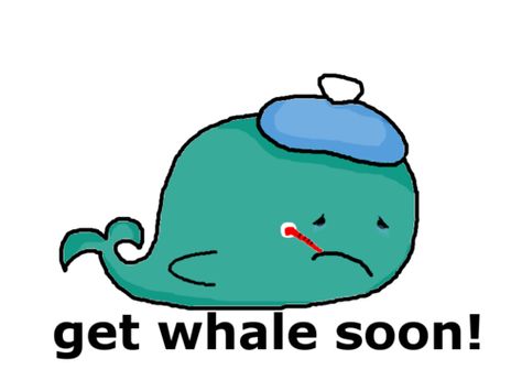 cute sick whale Feel Better Soon Funny, Whale Pictures, Corny Jokes, Cute Whales, Cute Presents, Animal Antics, I Feel Pretty, Feel Pretty, Get Well