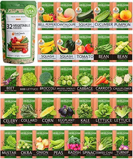 Fruit Squash, Seed Vault, Survival Garden, Lettuce Seeds, Pumpkin Squash, Seed Kit, Vegetable And Fruit, Survival Gardening, Seed Pack