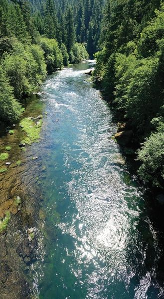 Shady Cove Oregon, Lakes And Rivers, Oregon Caves, Redwoods California, River Town, Seni Khat Islam, Beautiful Oregon, Beautiful River, Crater Lake National Park