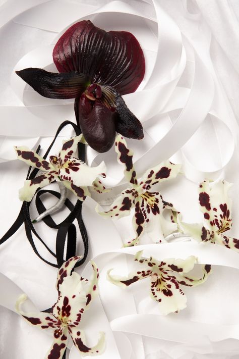 Moody Chic Wedding, Photo Phone Wallpaper, Orchids Aesthetic, Phone Wallpaper Flowers, Burgundy Orchid, Orchid Boutonniere, Photo Of Flowers, Olive Wedding, Floral Arch Wedding