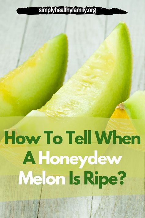 Knowing how to tell when a honeydew melon is ripe can be tricky, especially for those who are not very familiar with this fruit. Know how to tell when a honeydew melon is ripe by reading this article! #honeydewmelon How To Cut Honeydew Melon, Honeydew Melon Recipes, Melon Recipes, Fruit Plus, Fruit Creations, Storing Fruit, Food Advice, Fruit Picking, Honey Dew