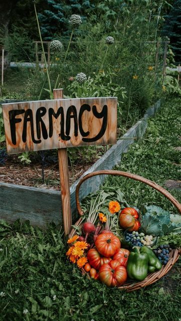 Brandi Rondinelli 🌾 Homesteading mama on Instagram: "Who’s with me?! 🌻🌿 🪶🪿 . . . . . . #simpleliving #simplelife #farmstead #gardener #thehappygardeninglife #plantsaremagic #botanicalpickmeup #backyardgardener #instagardeners #gardenerofinstagram #gardenersworld #gardenerslife #sheinthegarden #cottagecore #cottagegarden #farmtotable #homeschool #homeschoollife #lifeskills #lifeskillsforkids #homeschooling #homeschoolfamily"