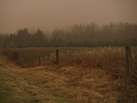 Autumn Field Aesthetic, Spooky Autumn Aesthetic, Hayride Aesthetic, Open Field Aesthetic, Abandoned Field, Field Reference, Dry Field, Dark Field, Fall Field