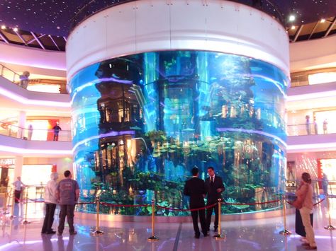 Morocco Mall in Casablanca Morocco Mall, Sea Life Painting, Morocco Casablanca, Casablanca Morocco, Beautiful Mermaids, Ocean Life, Holiday Destinations, Casablanca, Sea Life