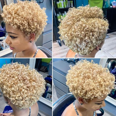 Staci J | 😍🔥 We decided to Cut it a little shorter and add more blonde.… | Instagram Blond Tapered Natural Hair, Honey Blonde Twa Natural Hair, Natural Hair Bleaching, Curly Hairdos, Lady Hawk, Curly Natural Hair, Blonde Natural Hair, Shaved Heads, Natural Hair Woman