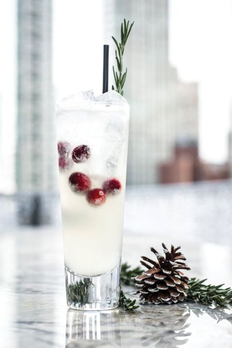 Seasonal Martinis, Festive Cocktail Recipes, Best Christmas Cocktails, Pine Barrens, Ornaments Ideas, Christmas Cocktail, Festive Cocktails, Winter Cocktails, Drinks Alcohol