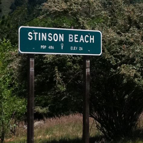 Stinson beach Stinson Beach California, Stinson Beach, Sea Dog, Wall Pics, Rainbow Beach, Angel Guide, California Summer, Golden City, Visit Usa