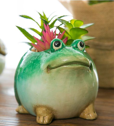 Metal Trough Planter, Diy Frog, Pink Succulents, Frog Planter, Solar Garden Decor, Planter Pottery, Ceramic Turtle, Ceramic Frogs, Frog Decor