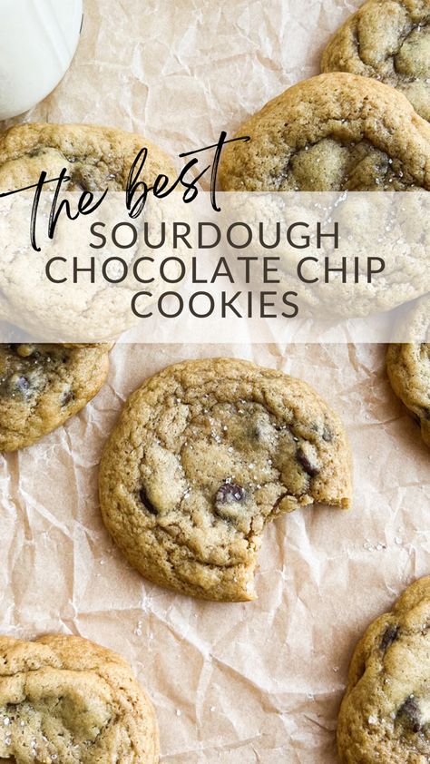 Long Ferment Sourdough Chocolate Chip Cookies, Cookies With Sourdough Discard, Quick Sourdough Recipes Easy, Sour Dough Discard Chocolate Chip Cookies, Sour Dough Cookie Recipe, Sour Dough Chocolate Cookies, Active Sourdough Discard Recipes, Best Sourdough Chocolate Chip Cookies, Best Sourdough Cookies