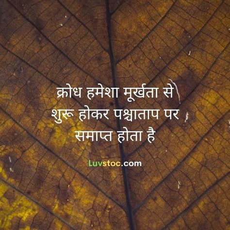 Life Quotes In Hindi Beautiful Life Quotes, New Life Quotes, Thoughts On Education, Life Quotes In Hindi, Attitude Bio, Attitude Bio For Instagram, Thoughts In Hindi, Leader Quotes, Life Is Beautiful Quotes