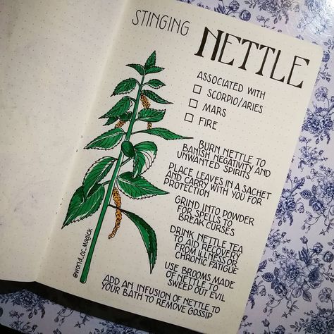 Herb Journal, Magickal Herbs, Green Witchcraft, Magia Das Ervas, Journal Inspiration Writing, Stinging Nettle, Plant Journal, Grimoire Book, Magic Herbs