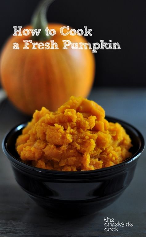 Almost time for Thanksgiving - cook a pumpkin to use for pies, muffins, cakes and cookies.  It's easy!  How to Cook a Fresh Pumpkin - The Creekside Cook Cook Fresh Pumpkin, Cook Pumpkin, Fresh Pumpkin Pie, Cooking Pumpkin, Fresh Pumpkin, Cakes And Cookies, Pumpkin Dessert, Holiday Cooking, Canning Recipes