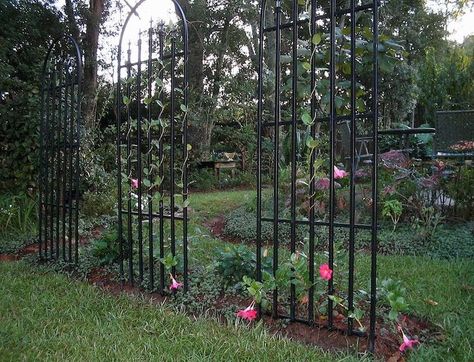 Climbing Roses Trellis, Garden Trellis Designs, Tall Garden Trellis, Simple Trellis, Metal Garden Trellis, Building A Trellis, Iron Trellis, Wall Trellis, Flower Trellis