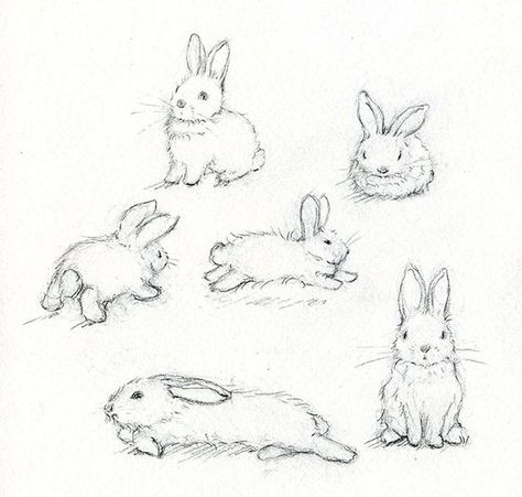 Rabbit sketches | How to draw a bunny: Rabbit Drawing, Bunny Tattoos, Rabbit Tattoos, Výtvarné Reference, Bunny Drawing, Desen Anime, Rabbit Art, Bunny Art, Arte Inspo