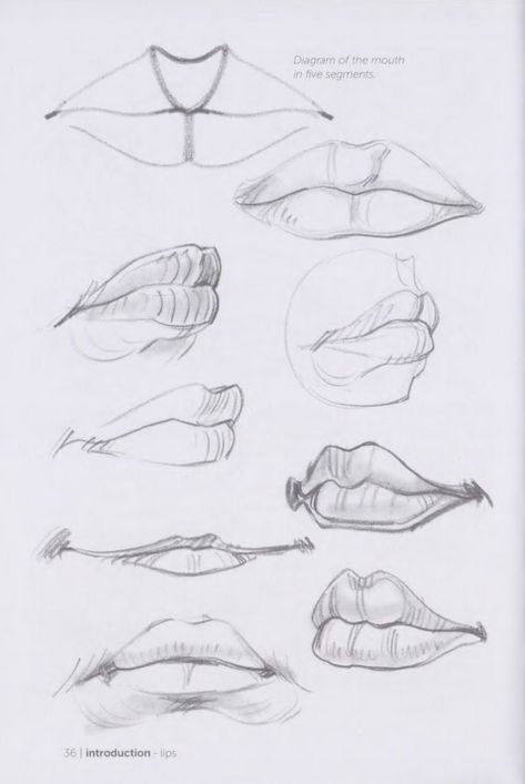 Head Looking Up Reference, Male Lip Drawing, Looking Up Reference, Lips Reference, Drawing Basics, Lips Sketch, Lips Painting, Basic Art, Learn To Sketch