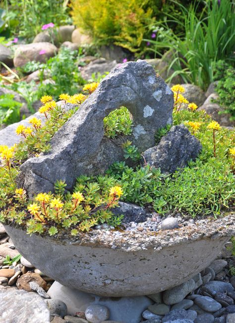 Rockery Garden, Garden Books, Grow Garden, Holiday Giveaway, Annual Garden, Alpine Garden, Rock Garden Design, Rock Garden Landscaping, Three Dogs