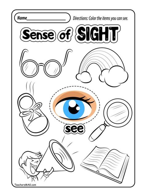 Have your child color the pictures that use the sense of sight. Five Senses Preschool Printables Free, Science Worksheets For Preschool, My Five Senses Activities, Five Senses Kindergarten, Senses Activity, 5 Senses Preschool, 5 Senses Worksheet, Five Senses Worksheet, Five Senses Preschool