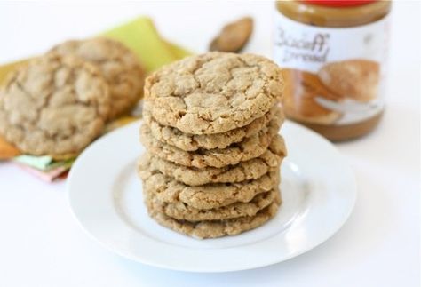 Biscoff Oatmeal Cookies Biscoff Oatmeal, Coconut Oatmeal Cookies Recipes, Oatmeal Cookie Recipe, Biscoff Recipes, Coconut Cookies Recipes, Oatmeal Coconut Cookies, A Glass Of Milk, Sweet Bites, Biscoff Cookies