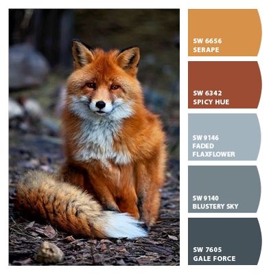 Paint colors from ColorSnap by Sherwin-Williams Blustery Sky, Fox Bedroom, Blue Pallets, Cabin Exterior, Bedroom Orange, Interior Design Guide, Blue Paint Colors, Sherwin Williams Paint Colors, Paint Swatches