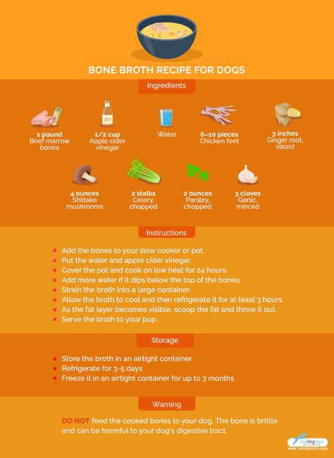 Bone Broth Recipe for Dogs: Healthy and Easy to Make with a Crockpot Bone Broth Benefits For Dogs, Bone Broth Recipe For Dogs, Mochi Food, Bone Broth Dogs, Puppy Snacks, Bone Broth For Dogs, Broth For Dogs, Beef Marrow Bones, Bone Broth Benefits