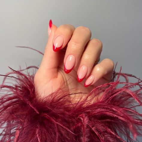 Red Tip Christmas Nails, Almond Christmas Nails, Nails Hailey Bieber, Shellac Nail Colors, Soft Pink Nails, Popular Nail Colors, Bright Red Nails, Pink Nail Colors, Pedicure Colors