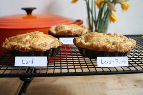 The Nasty Bits: How to Use Leaf Lard in Pastry Doughs Recipe Hand Pies Dough Recipes, Best Pork Recipes, Lard Recipe, Pastry Dough Recipe, Baking Pie, Cannoli Shells, Butter Pastry, Pie Dough Recipe, Butter Crust