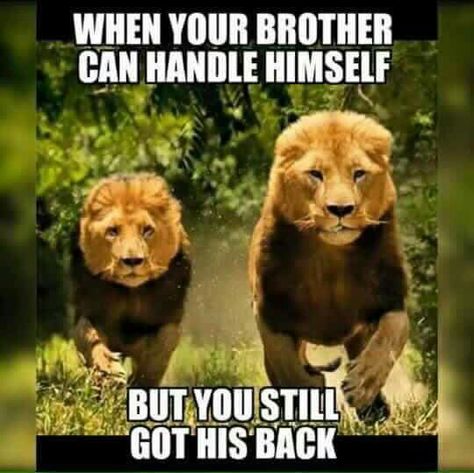 I am my... BROTHERS KEEPER Brotherhood Quotes, My Brothers Keeper, Brothers Keeper, Diy Outfits, Wednesday Motivation, Leo Season, Like A Lion, Getting Him Back, A Lion