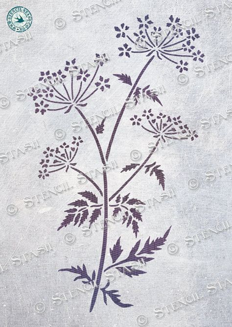 Parsley Flower, Wild Meadow, Plaster Crafts, Cow Parsley, Leaf Stencil, Star Stencil, Stencil Furniture, Flower Leaves, Types Of Painting