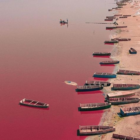 Fulaniwords on Instagram: "Le Lac Rose 𝗣𝗿𝗲́𝘀𝗲𝗻𝘁𝗮𝘁𝗶𝗼𝗻 Situé à environ 35 km au Nord-Nord-Est de Dakar, la capitale du Sénégal 🇸🇳 , le lac rose ou encore lac Retba ( nom donné par les peul ) est incontestablement le site le plus nominé au Sénégal. Il est une véritable curiosité naturelle grâce à la coloration exceptionnelle de ses eaux qui virent journellement du mauve au rose écarlate. D’une superficie d’environ 3 km2, il se décompose en quatre sections adjacentes dénommées Khaar Ya Lake Retba Senegal, Africa Facts, Senegal Travel, Lake Retba, Senegal Africa, Pink Lake, Tropical Resort, Africa Art, Travel Goals