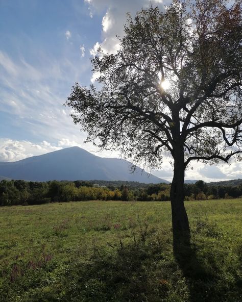 Rtanj mountain in Serbia, alien's favorite place in Serbia Serbia, Favorite Places, Travel, Art