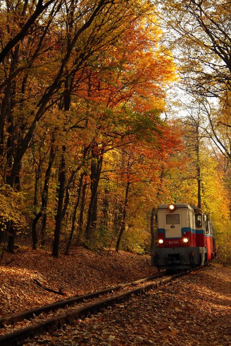 Leaves On The Ground, Photo Dream, Autumn Scenes, Autumn Scenery, Autumn Beauty, Fall Pictures, Train Tracks, Autumn Cozy, Autumn Aesthetic