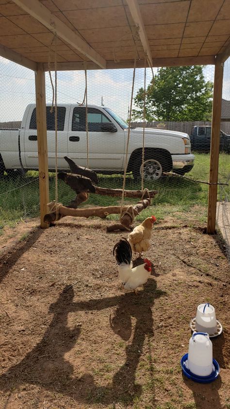 4 pieces of wood screwed together and hung with rope and eyelets Big Chicken, Cute Chicken Coops, Chicken Coop Garden, Chicken Shed, Backyard Chicken Coop Plans, Diy Chicken Coop Plans, Chicken Coop Run, Backyard Chicken Farming, Raising Backyard Chickens