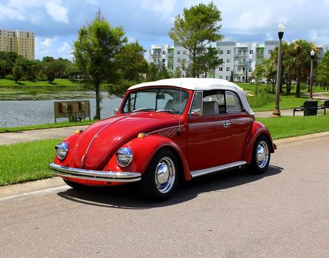 Bug Convertible, Vw Bug Convertible, Vw Convertible, Vw Cabriolet, Slug Bug, Vw Beetle Convertible, Volkswagen Beetle Convertible, Beetle Convertible, Vw Bug