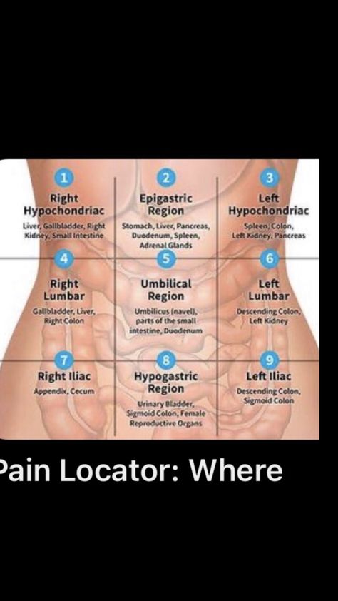 Pancreas Pain Relief, Sigmoid Colon, Liver Diet, Adrenal Glands, Chinese Medicine, Acupressure, Acupuncture, Natural Healing, Health And Wellbeing