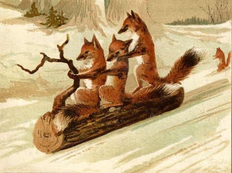 Foxes sledding - a great vintage image from The Graphics Fairy Sankta Lucia, Winter Kunst, Woodland Art Print, Stadium Blanket, Art Fox, Postal Vintage, Vintage Fox, Woodland Art, Vintage Christmas Images