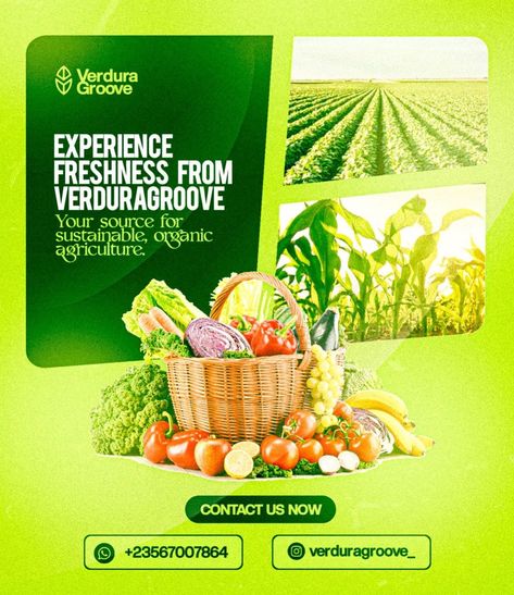 DM for your Design Magazine Advertising Design, Agriculture Flyer, Agriculture Ads, Agriculture Poster, Simple Flyer Design, Product Flyer Design, Food Flyer Design, Custom Promotional Items, Digital Advertising Design