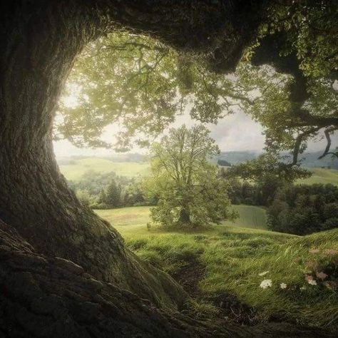 The Shire, Pretty Landscapes, Nature Tree, Spring Aesthetic, Green Nature, Photography Projects, Nature Aesthetic, Pretty Places, Green Aesthetic