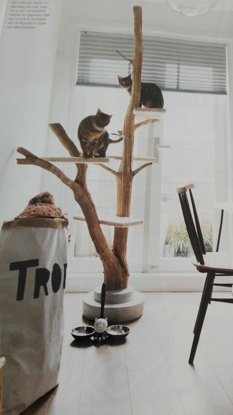 Custom Cat Trees, Katt Diy, Tree Hammock, Katt Grejer, Kat Diy, Chat Diy, Cat Tree House, Diy Cat Tree, Cats Design