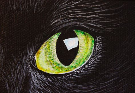 Animal Eye Painting, Cat Eye Painting, Green Objects, Cat Eyes Drawing, Material Drawing, Black Cat Painting, Painted Cat, Painting Animals, Eyes Artwork