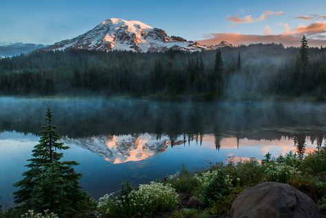 Couch Potato's Guide to Rainier | Visit Rainier Rainy Photography, Mt Rainier National Park, Photo Shoot Location, Reflection Photography, Mount Rainier National Park, Mt Rainier, Rainier National Park, Scenic Beauty, Mount Rainier