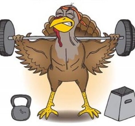 turkey-weightlifting Happy Thanksgiving Memes, Thanksgiving Workout, Thanksgiving Fitness, Gym Jokes, Thanksgiving Jokes, Thanksgiving Prep, Happy Turkey Day, Thanksgiving Day Parade, Crossfit Gym