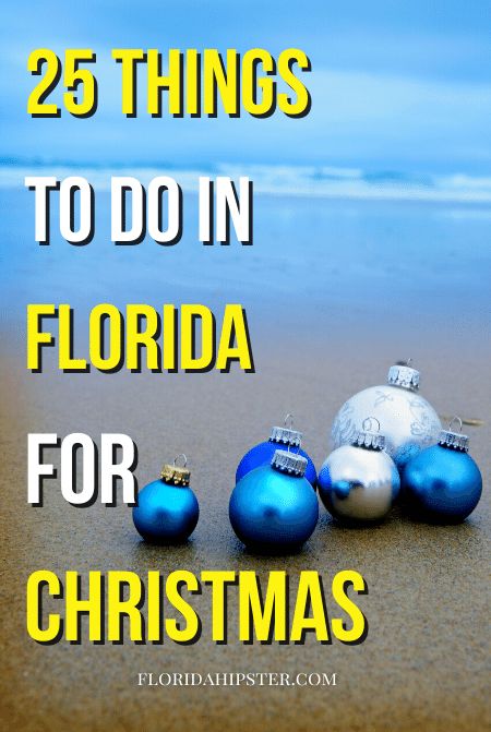 25 AMAZING Things to Do in Florida at Christmas (YOU MUST VISIT in 2021) - Florida Hipster Christmas In Florida, Things To Do In Florida, Winter In Florida, Northern Florida, Holiday Lights Display, Holiday Parades, Lake Eola, Disney World Christmas, Florida Christmas